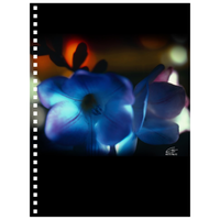 Flowers After Dark 'Blue Freesia' Notebook